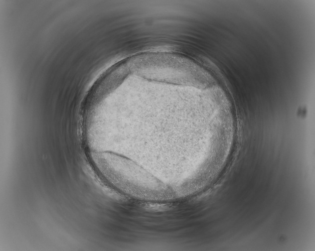 X0000114010835200911131202
