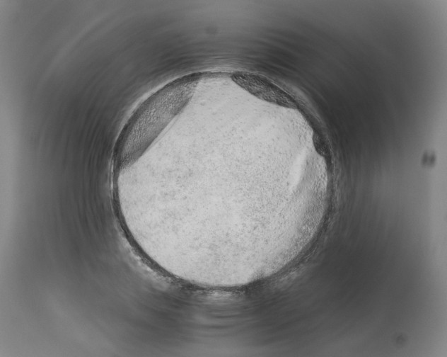 X0000114010839200911131202