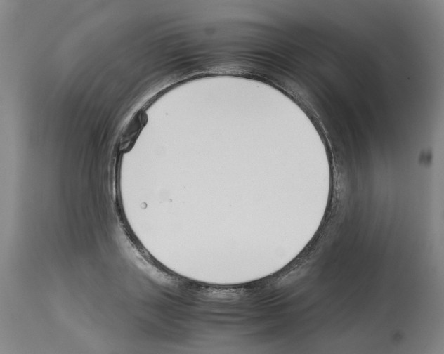 X0000114010843200911131202