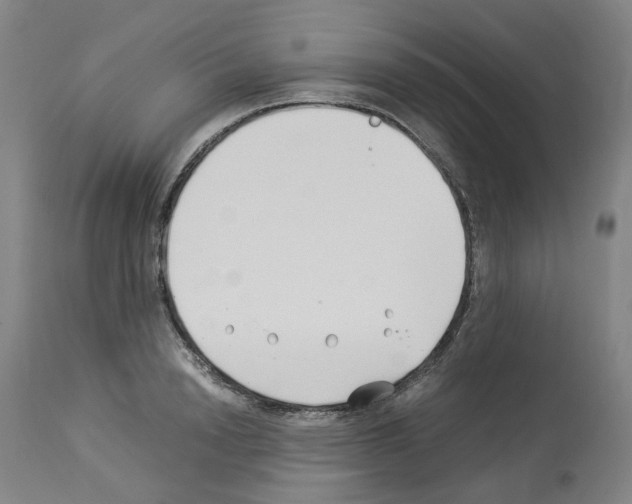X0000114010846200911131202