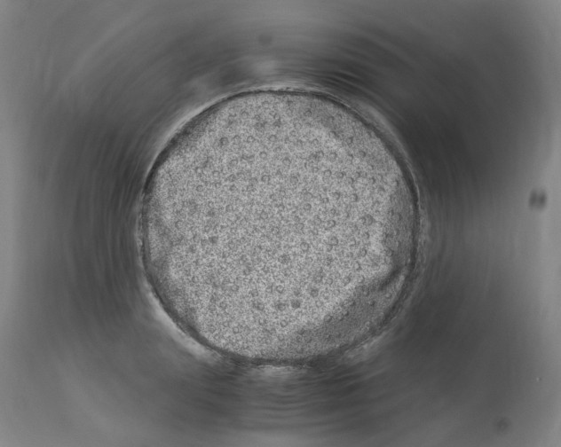 X0000114010847200911131202