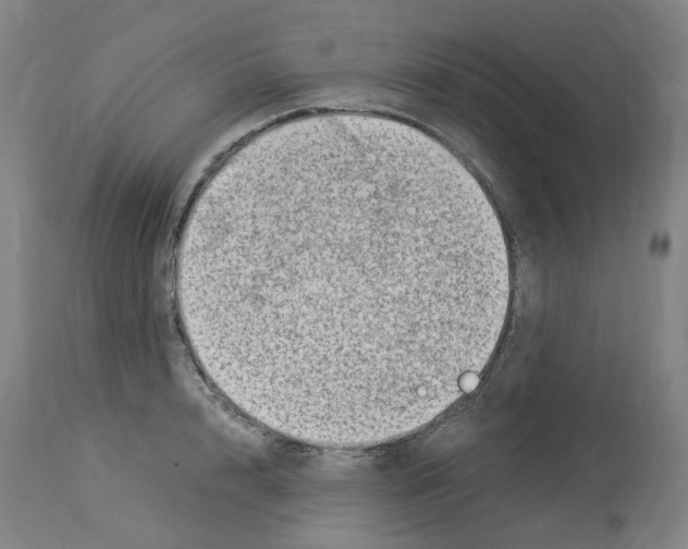 X0000114010848200911131202