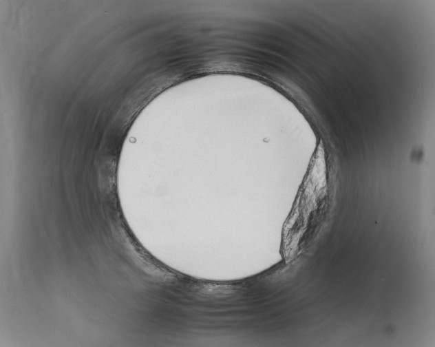 X0000114010849200911131202