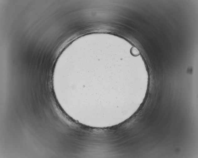 X0000114010850200911131202