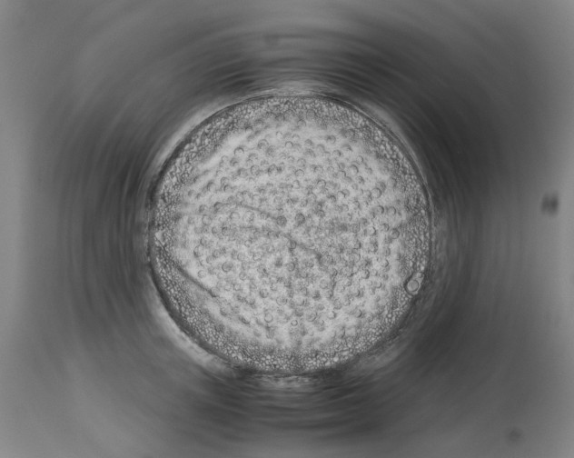 X0000114010851200911131202