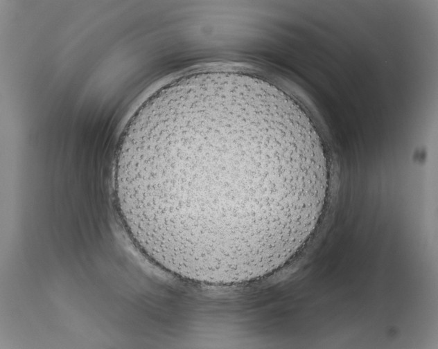 X0000114010852200911131202