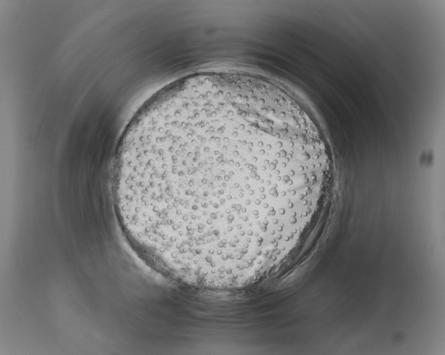 X0000114010855200911131202
