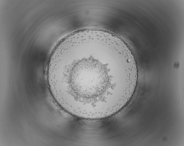 X0000114010856200911131202