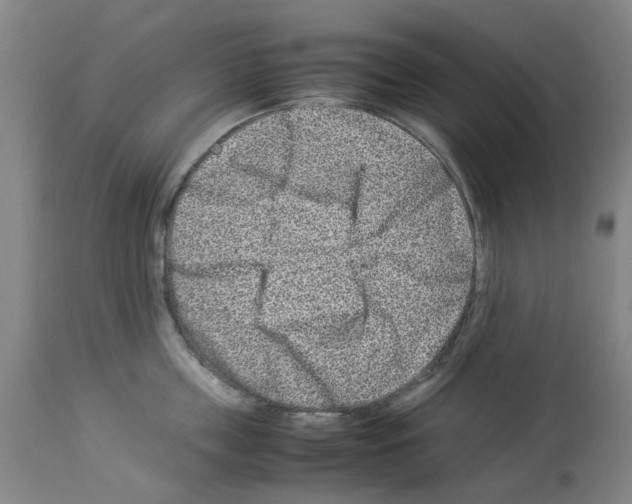 X0000114010859200911131202
