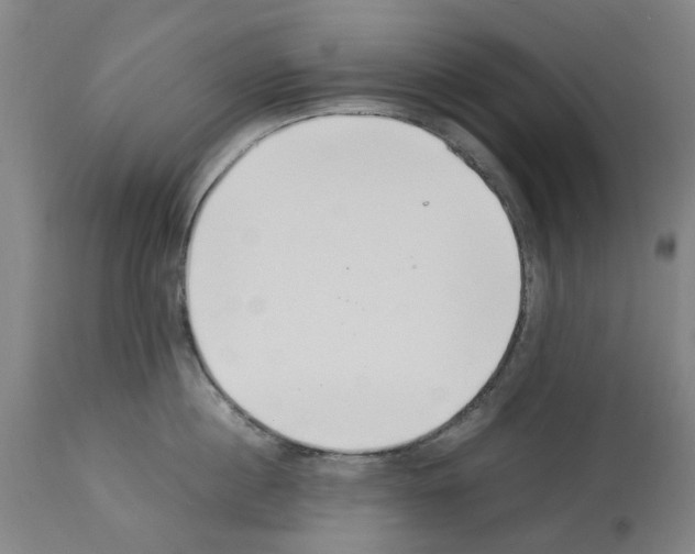 X0000114010860200911131202