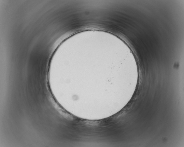 X0000114010861200911131202