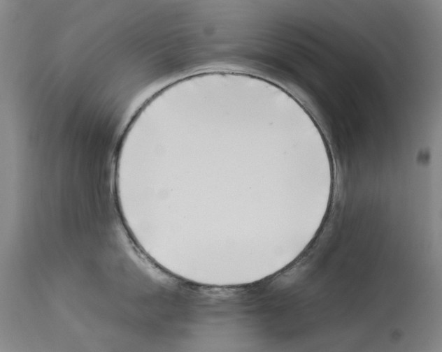X0000114010862200911131202