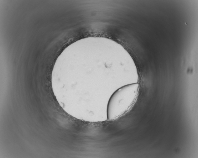 X0000114010865200911131201