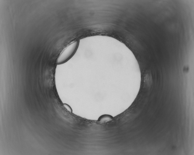 X0000114010868200911131201