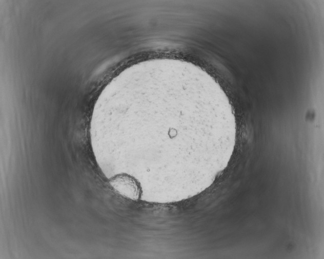 X0000114010869200911131201