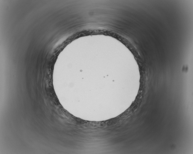 X0000114010871200911131201