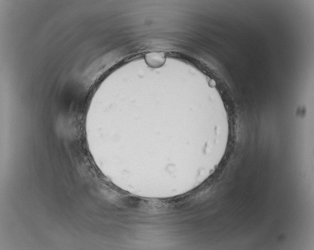 X0000114010873200911131201