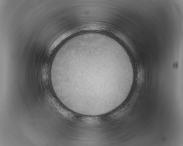 X0000114010874200911131201