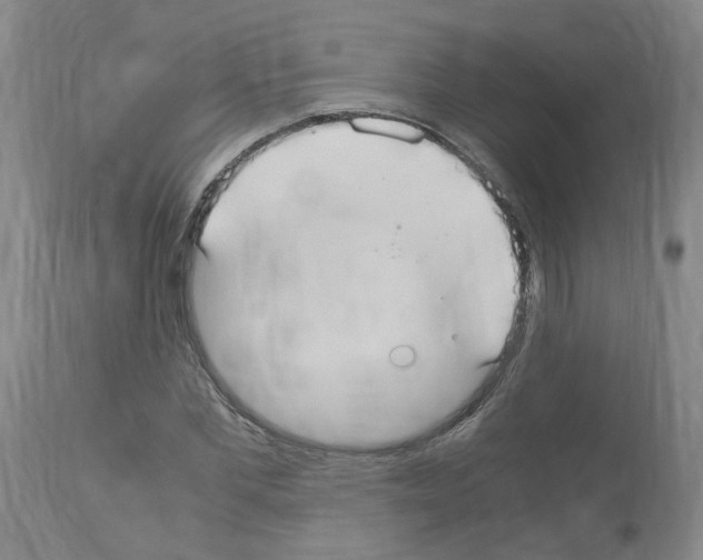 X0000114010877200911131201