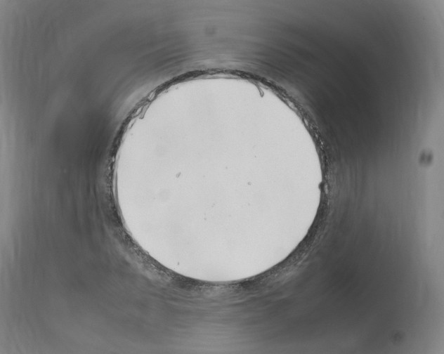 X0000114010879200911131201
