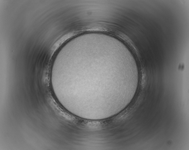 X0000114010882200911131201