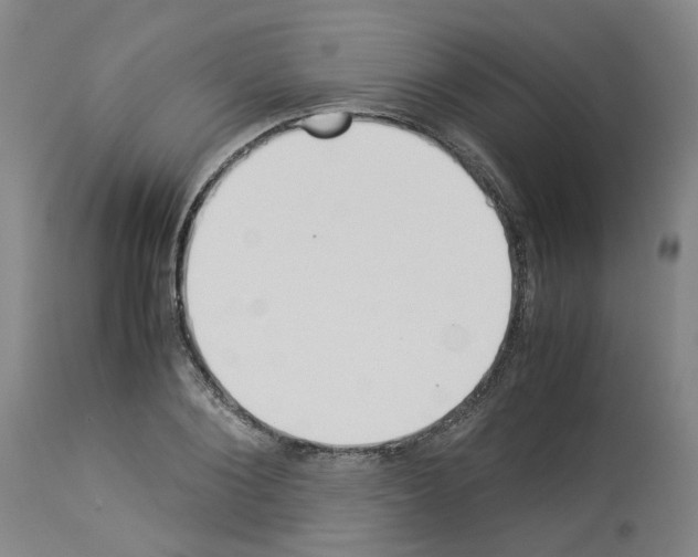 X0000114010884200911131201