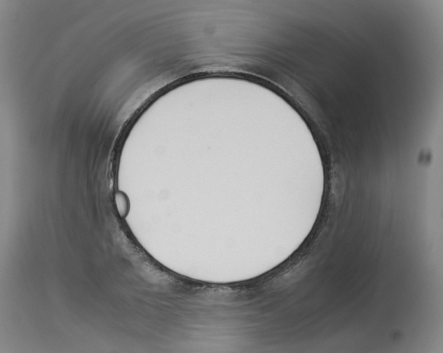 X0000114010885200911131201