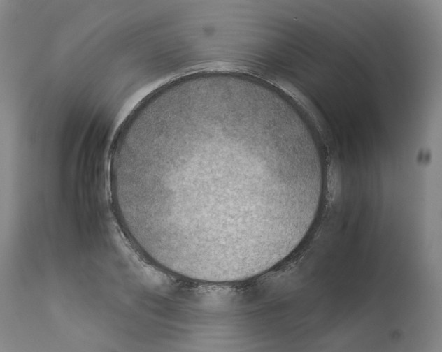 X0000114010886200911131201