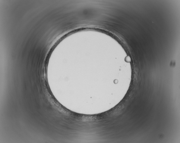 X0000114010887200911131201