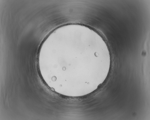 X0000114010895200911131201