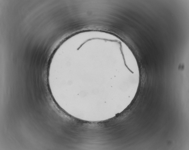 X0000114010896200911131201