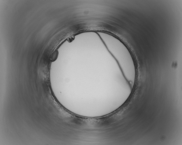 X0000114010897200911131201
