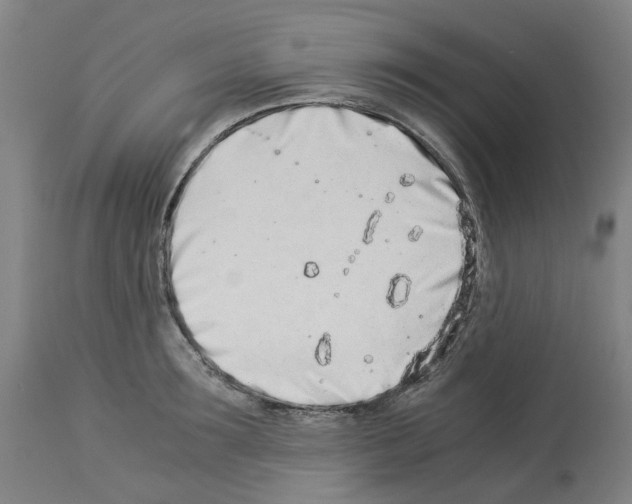 X0000114010899200911131201