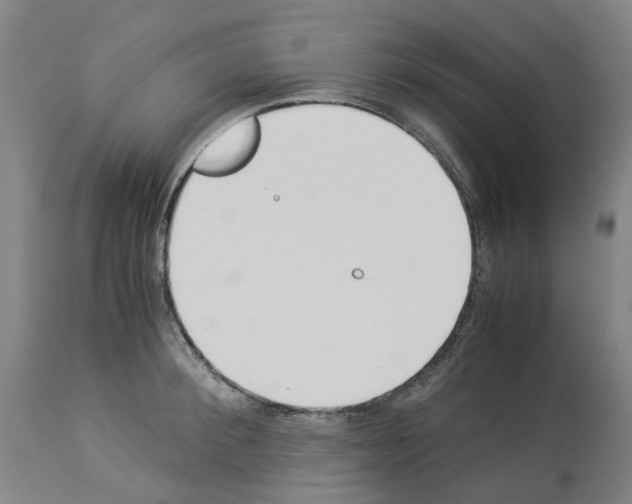 X0000114010900200911131201
