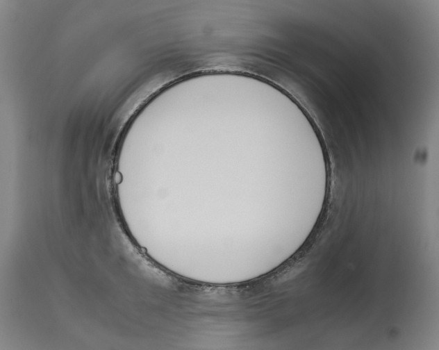 X0000114010901200911131201