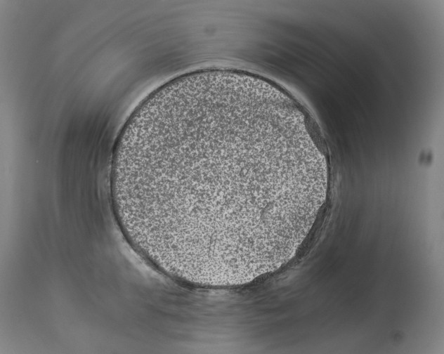 X0000114010903200911131201
