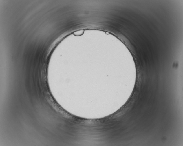 X0000114010904200911131201