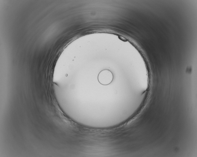 X0000114010905200911131201