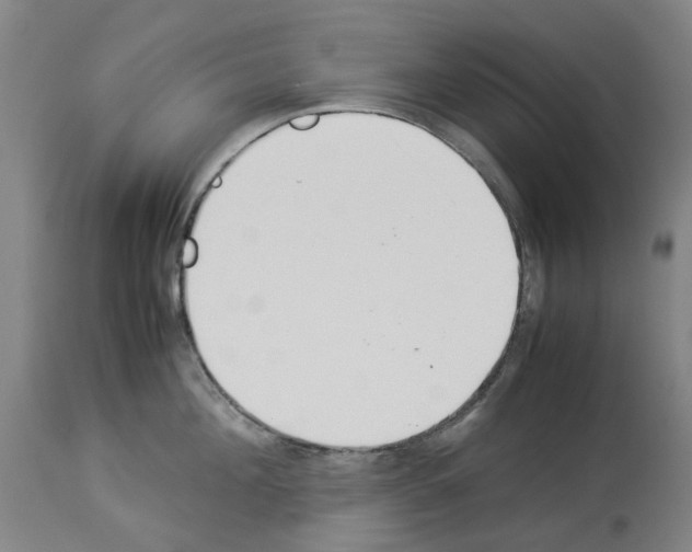 X0000114010908200911131201