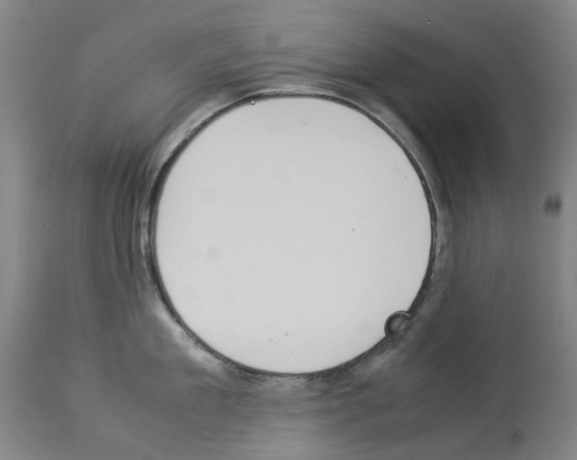 X0000114010909200911131201