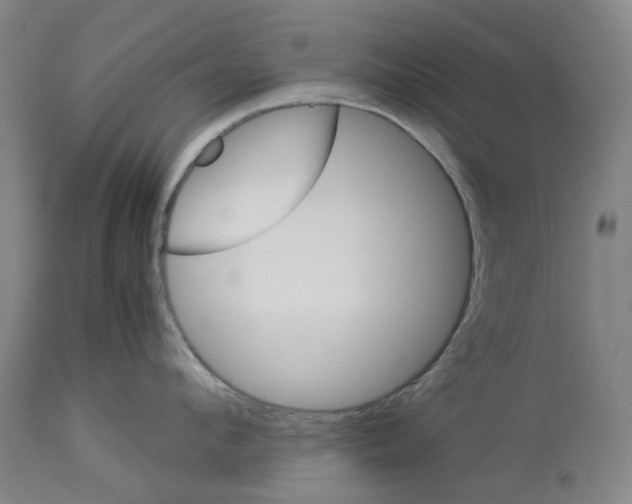 X0000114010912200911131201