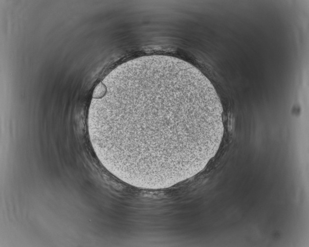 X0000114010915200911131200
