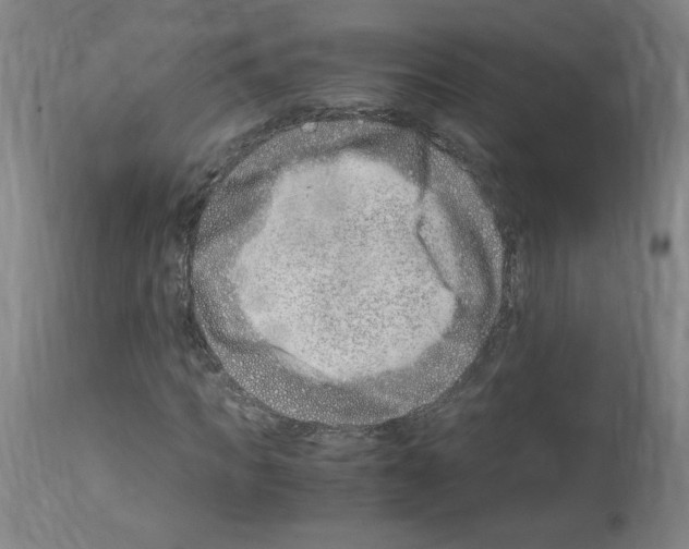 X0000114010917200911131200