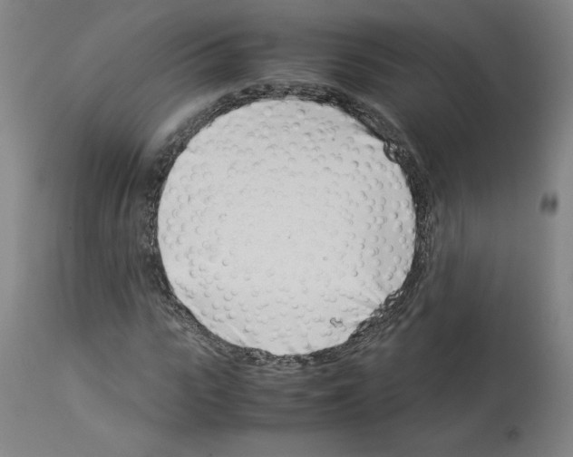 X0000114010919200911131200