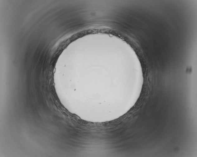 X0000114010920200911131200