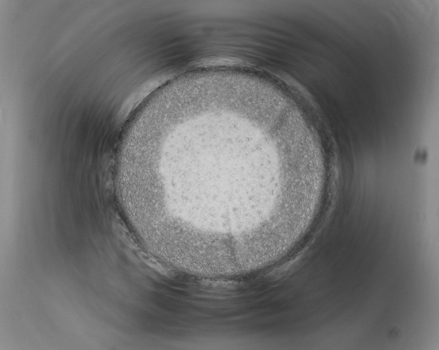 X0000114010921200911131200