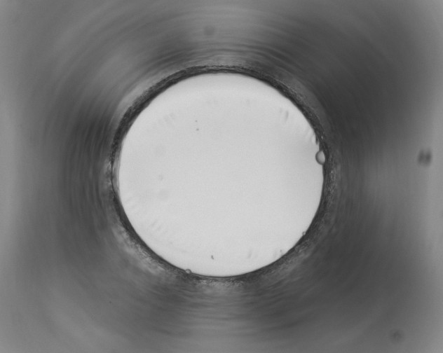 X0000114010928200911131200