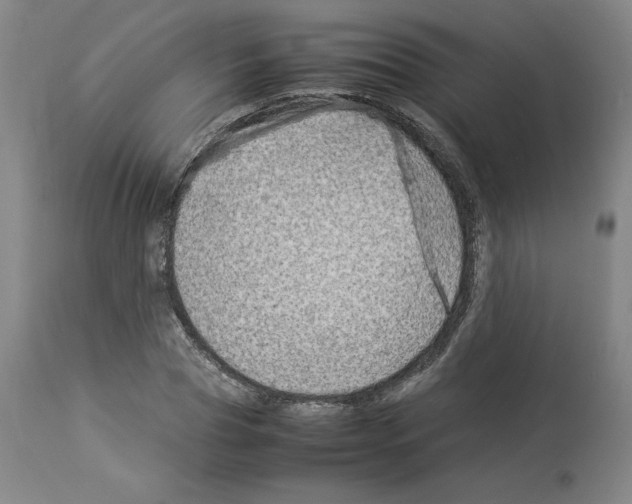 X0000114010929200911131200