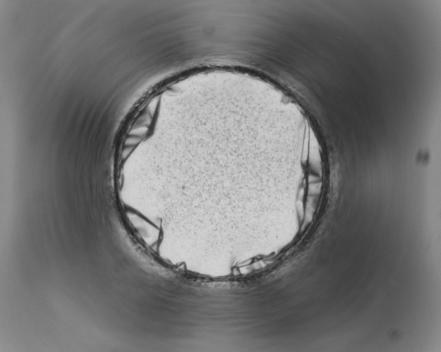 X0000114010934200911131200