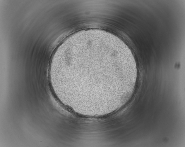X0000114010938200911131200